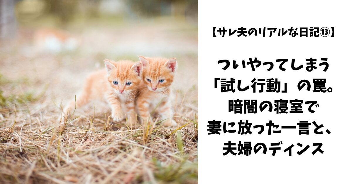 ２匹の猫が遊んでいる。
